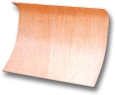 schneeschieberblatt birke xyloton trading GmbH.